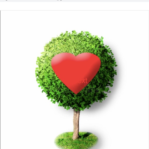 Meet your Posher, Stacy - Picture 1 of 1